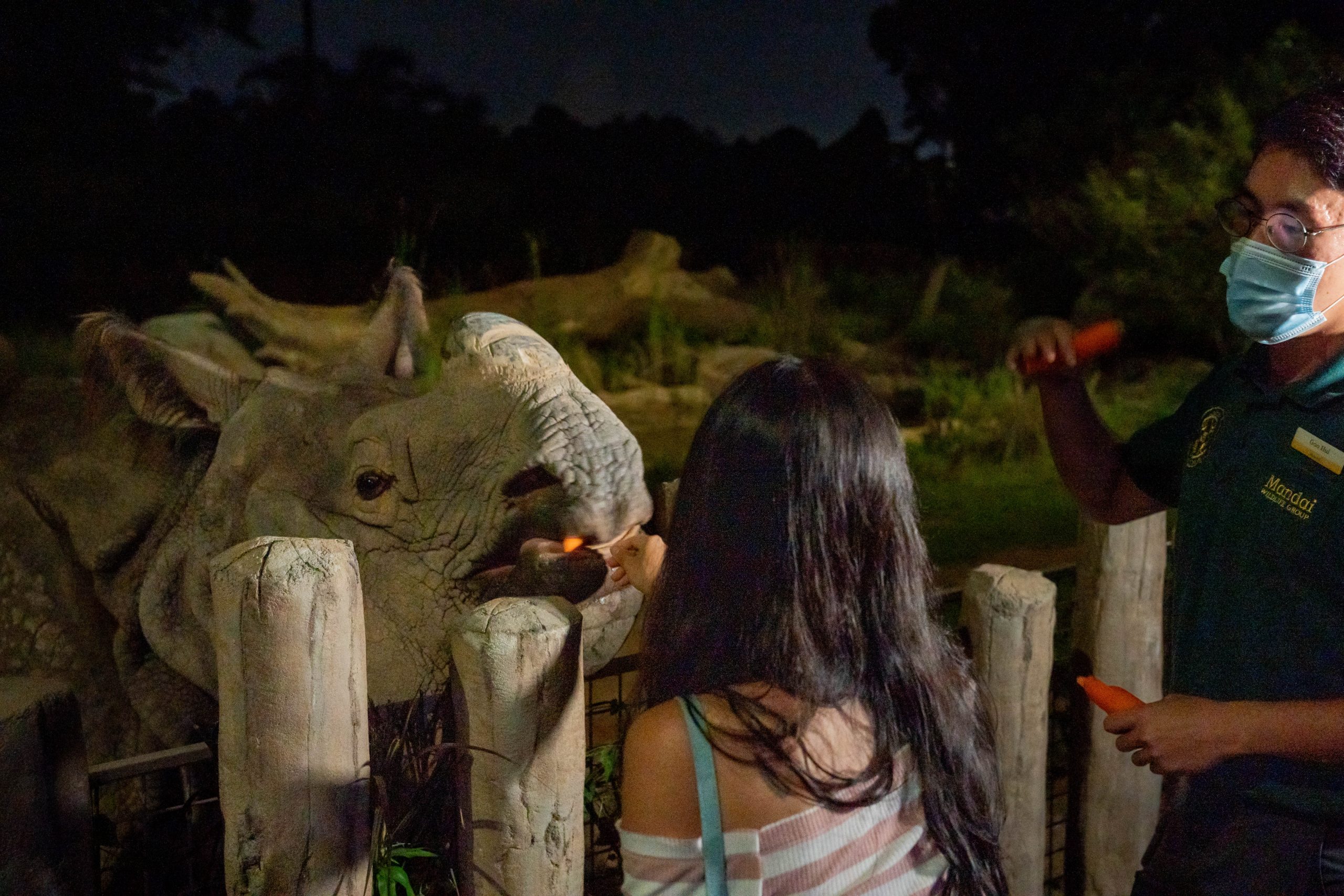 Image 2 – Up-close interactions with the Indian rhino and a chance to interact with the animal care team at the new feeding sessions. Photo credit to Mandai Wildlife Group