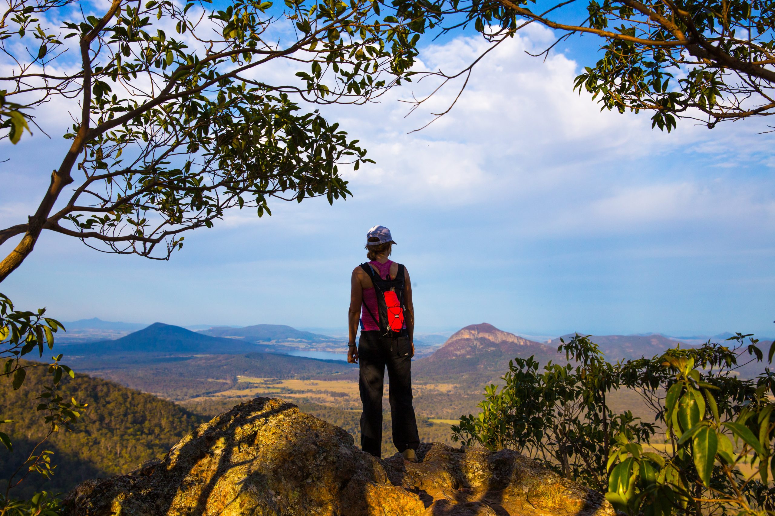 Scenic Rim Trail by Spicers, Governors Chair Lookout, Main Range National Park, QLD